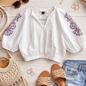 Universal Thread Crop Embroidered Top with Balloon Sleeves